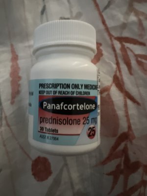 Panafcortelone  Australia